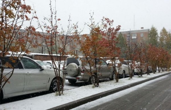 Снегопад в Новосибирске 2020