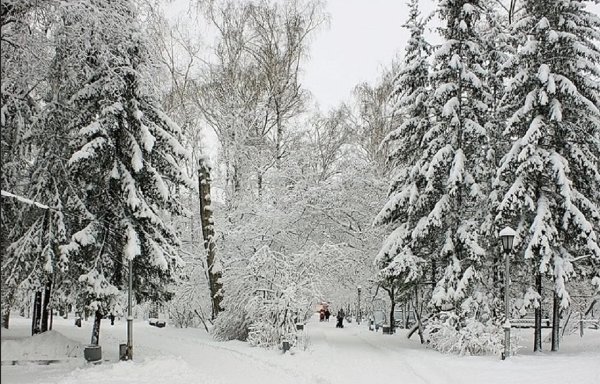 Центральный парк Новосибирск зимой