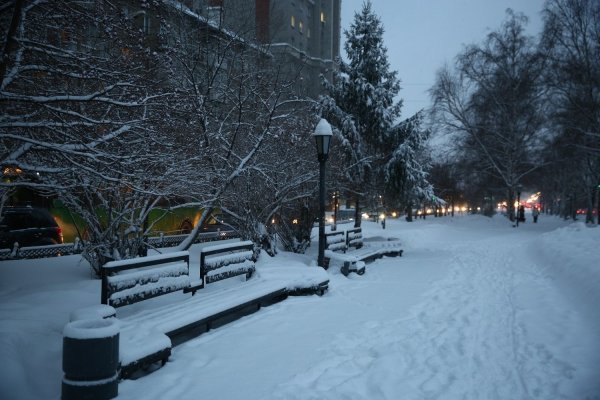Новосибирск снег