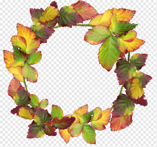 Круг из осенних листьев