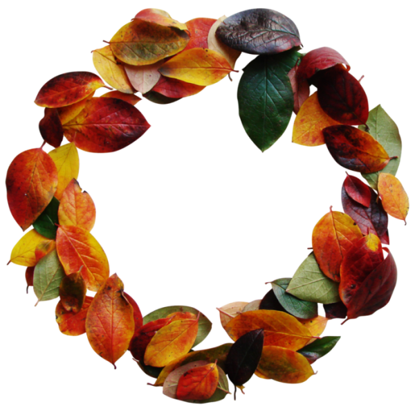 Круг из осенних листьев