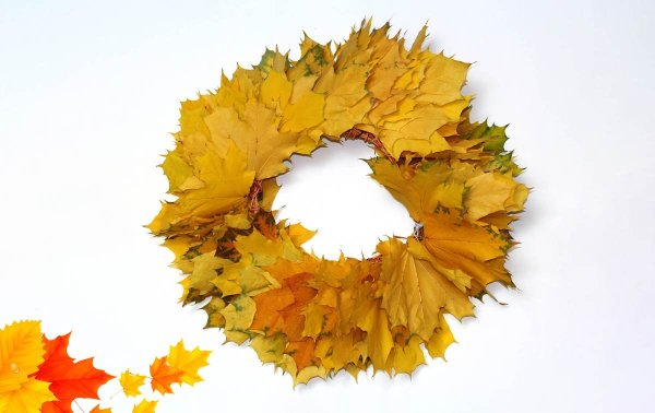 Венок из кленовых листьев