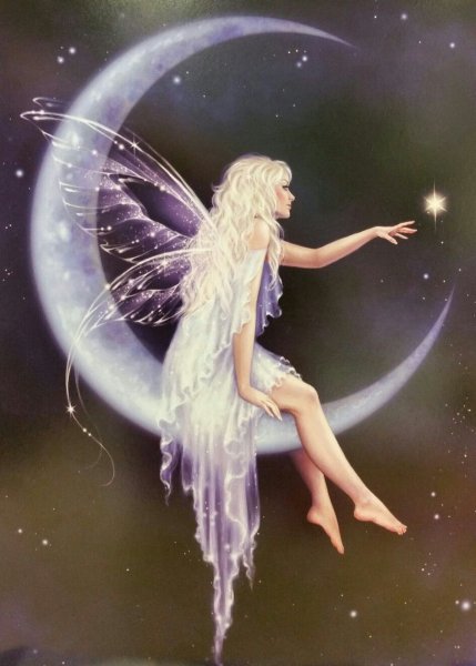 Ночная Фея