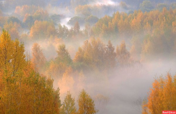 Осенний Мираж