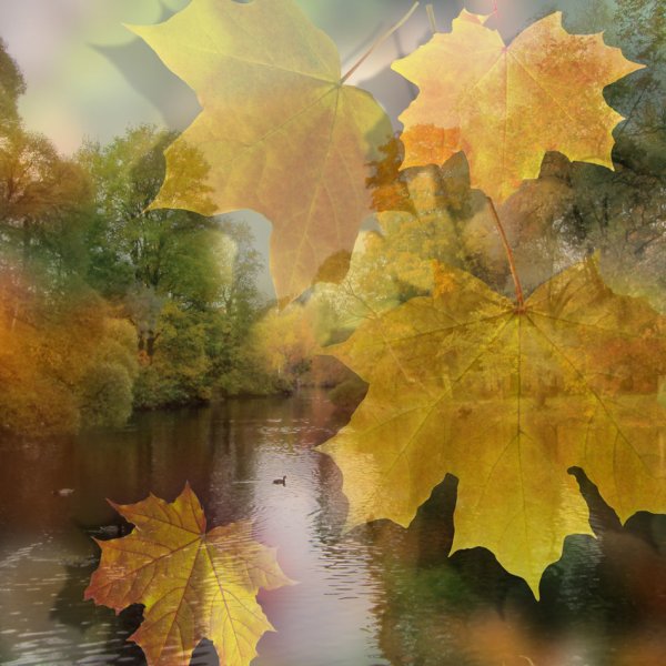 День осенних миражей 27 октября