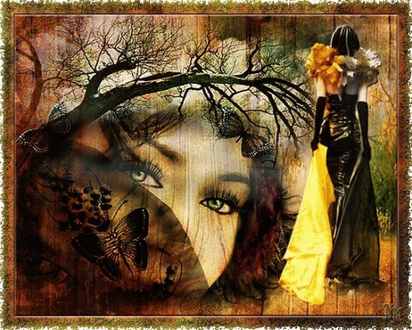 День осенних миражей 27 октября