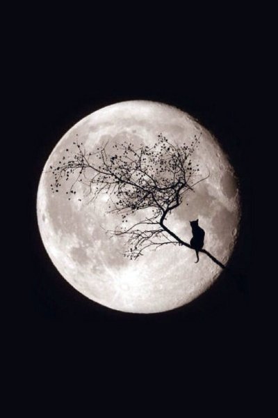 Луна на аву