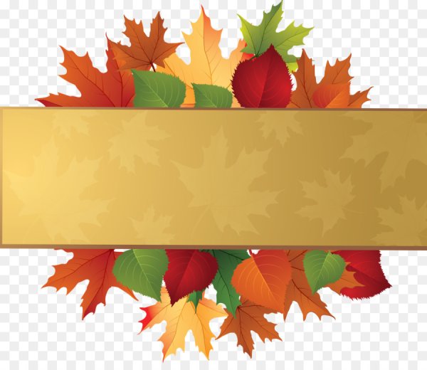 Осенние каникулы