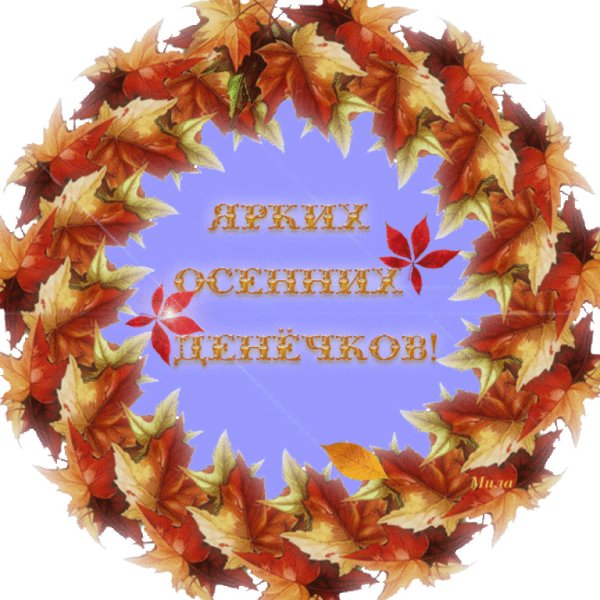 Хороших осенних каникул