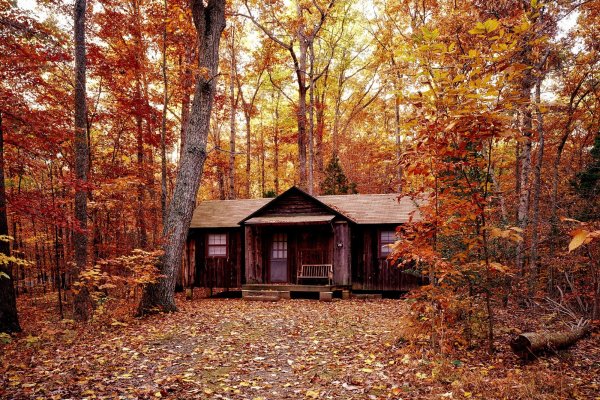 Домик лесника Зеленогорск