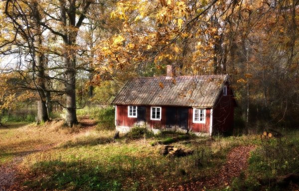 Домик в лесу