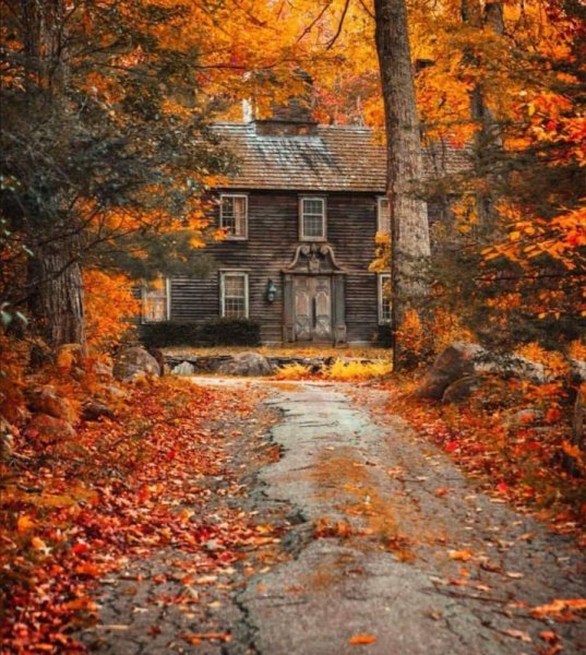 Заброшенный старый дом осенью