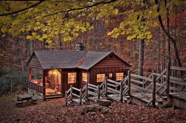 Домик в лесу