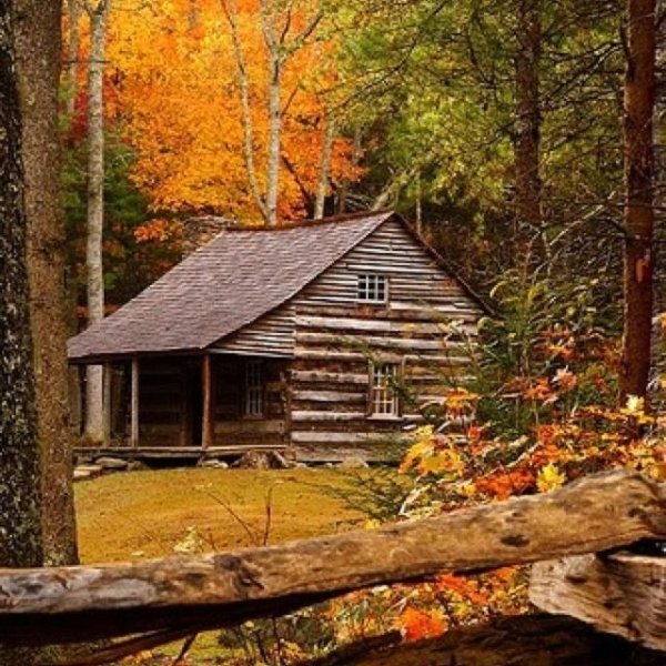 Осень домик в лесу