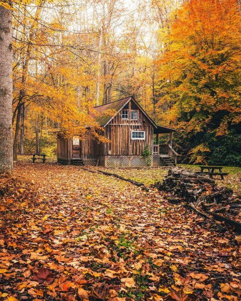Осень домик
