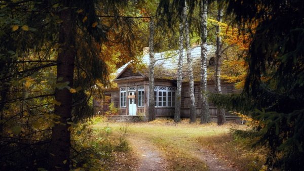 Старенький домик в лесу