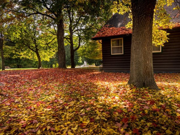 Осень картинки