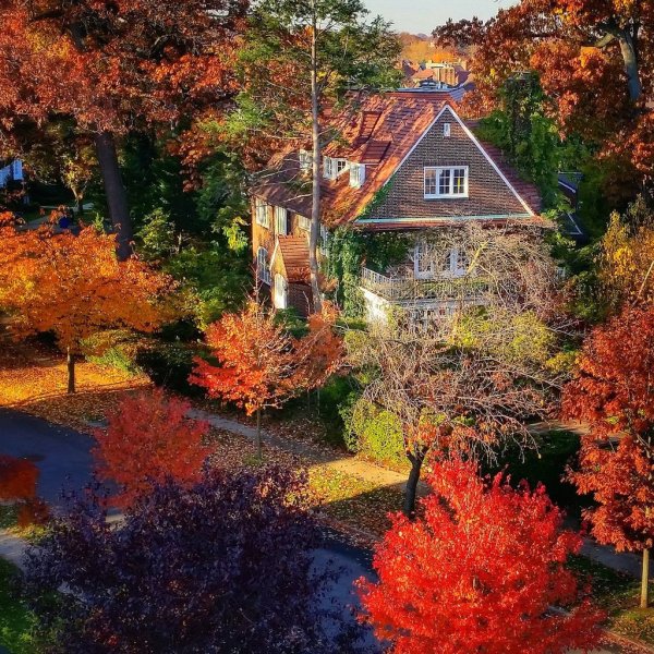 Осенний дом