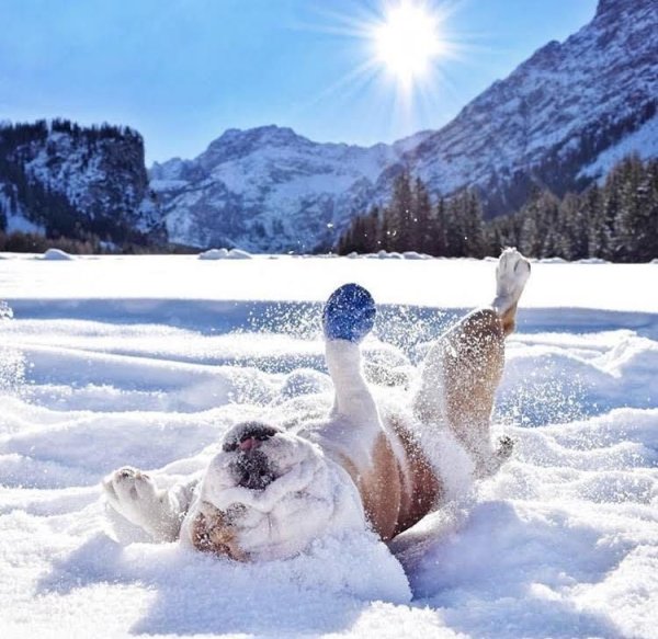 Зимний отпуск