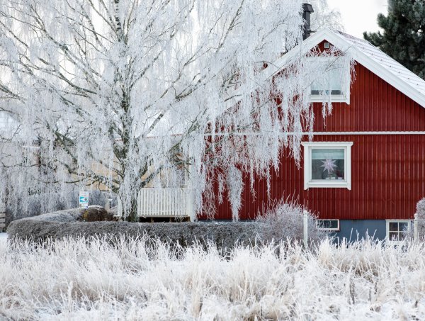 Красный домик зимой