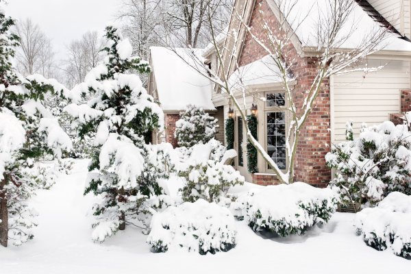 Заснеженный сад в частном доме