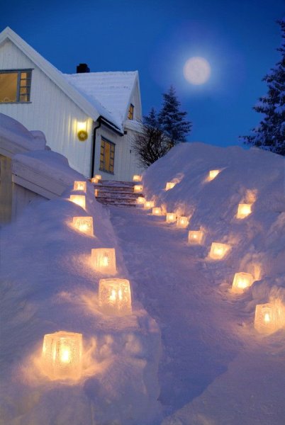 Освещение в саду зимой