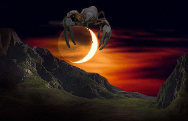 Луна окажется в знаке рака.