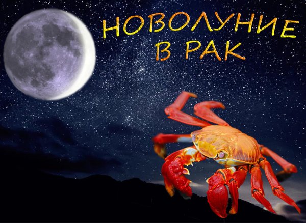 Новолуние в Скорпионе Рокс Николай Басков Новогодняя сказка