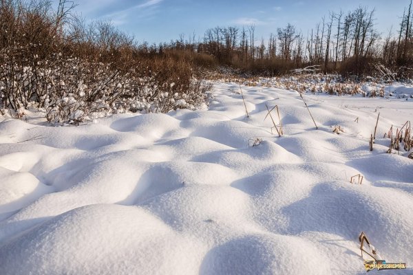 Поле под снегом