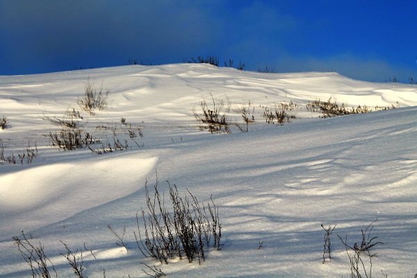 Зима в степи