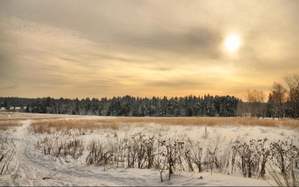 Зима поле лес