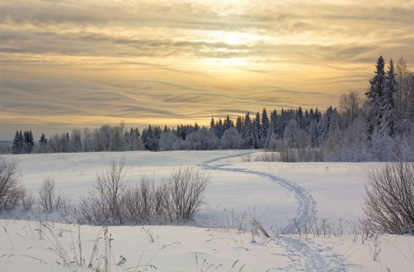 Пинега Архангельская область зима
