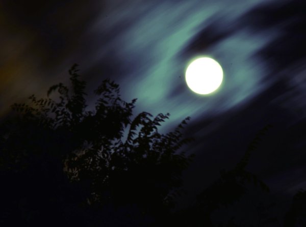 Лунный свет в сумерках