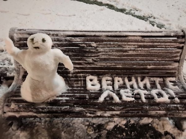 С первым снегом прикольные