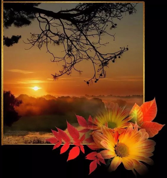 Доброго осеннего вечера