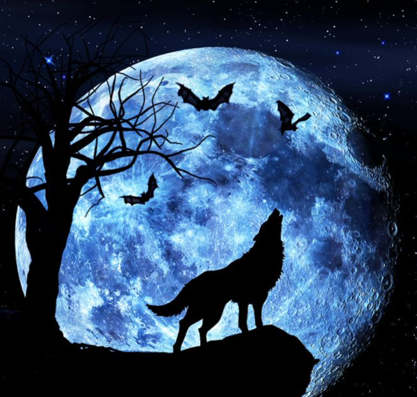 Медведь воет на луну