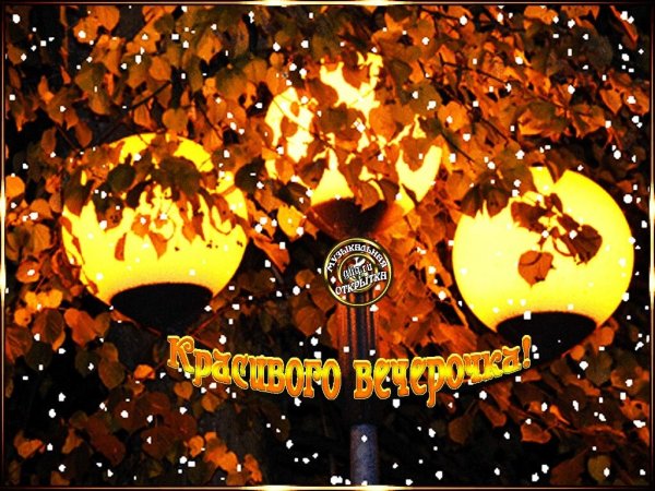 Хорошего осеннего вечера