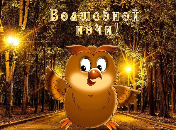 Доброго вечера и спокойной ночи