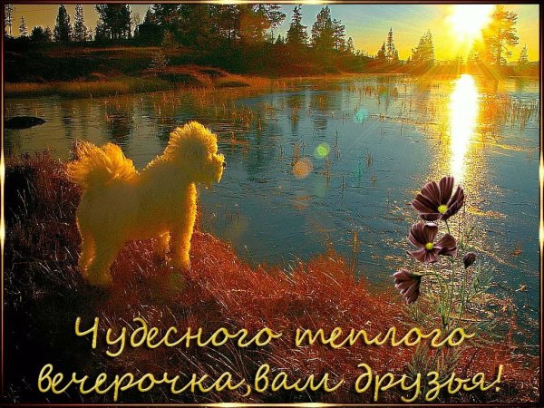 Доброго летнего вечера