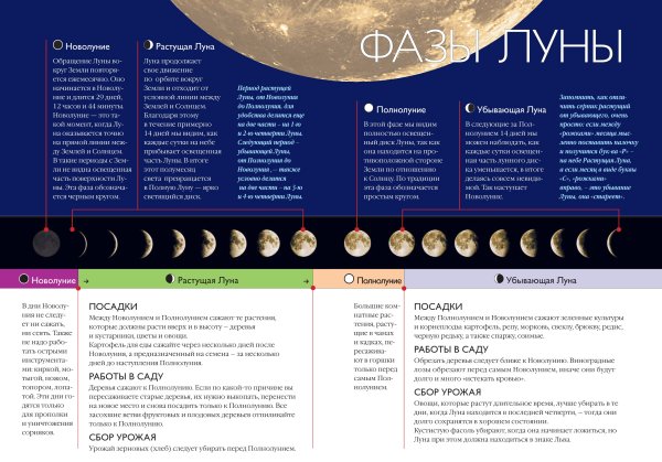 Лунный календарь