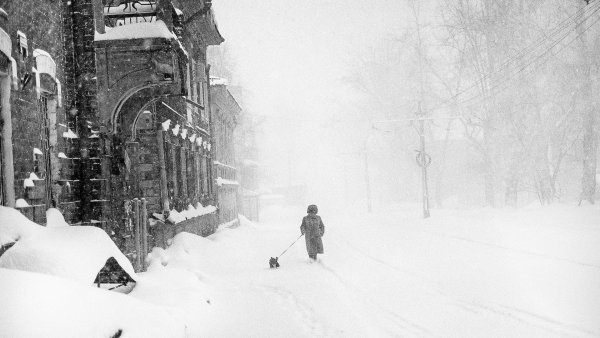 Зима в городе