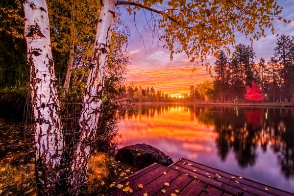 Осень закат