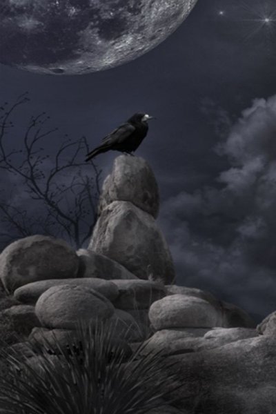 Ворон и Луна
