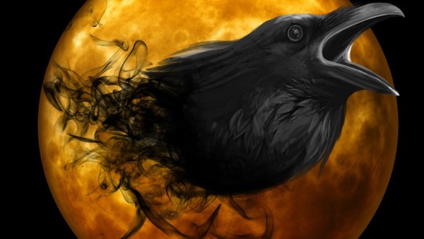 Темный ворон