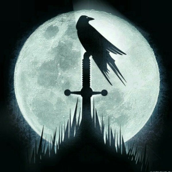 Вороны на фоне Луны