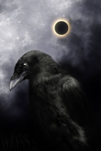 Ворон на фоне Луны