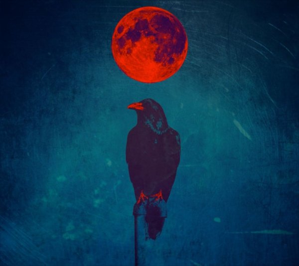 Ворон на Красном фоне