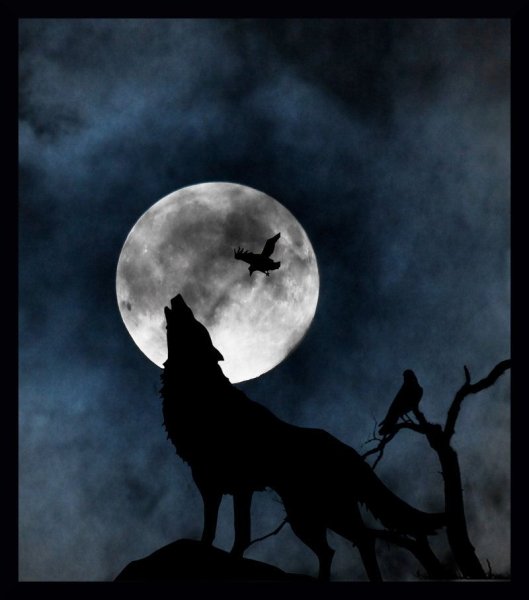 Черный ворон и Луна
