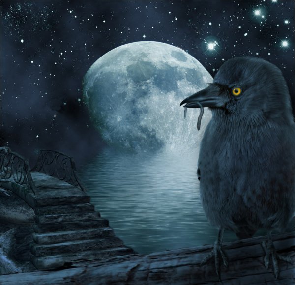 Луна и птицы