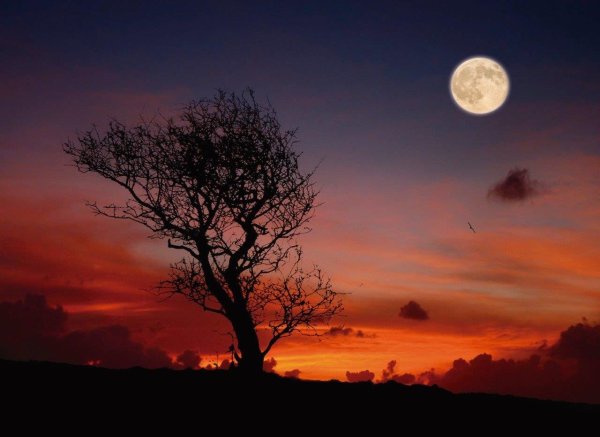 Луна на закате